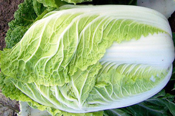 1637285638732936.jpg 203.jpg