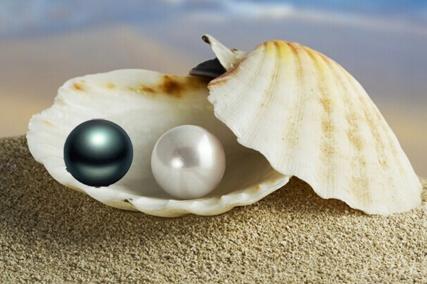 天然珍珠