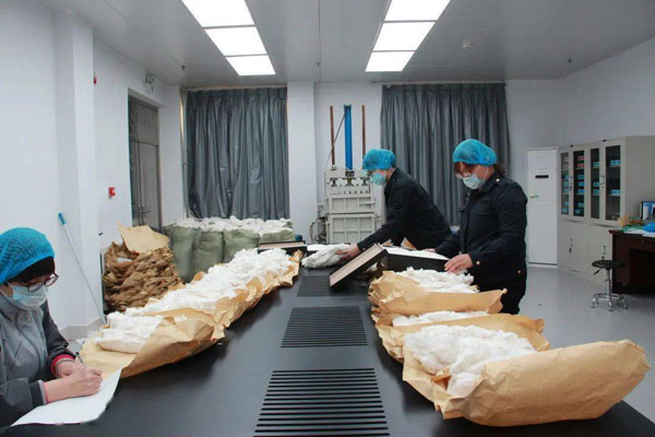 棉花分级室光源