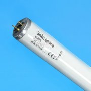 d65灯管图片分享，你都见过哪几种？