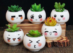 花盆颜色有讲究吗？对色灯箱检定花盆颜色