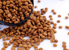 对色灯箱检定狗粮的颜色