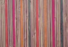 对色灯箱检定竹子的表皮颜色