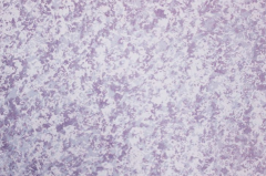 艺术漆颜色怎么调？艺术漆调色对色方法