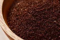 在对色灯箱中鉴别咖啡粉的颜色