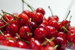 对色灯箱在樱桃采摘分级过程中的应用