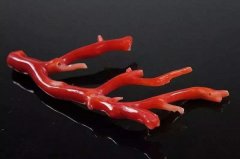 对色灯箱在珊瑚颜色分级中的应用