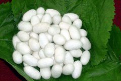 生丝颜色检定用对色灯箱