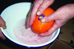 对色灯箱在食品安全领域的应用