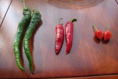 对色灯箱检定蔬菜外观颜色