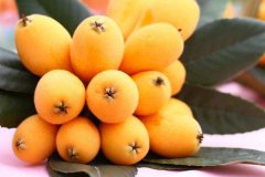 枇杷颜色分级用对色灯箱